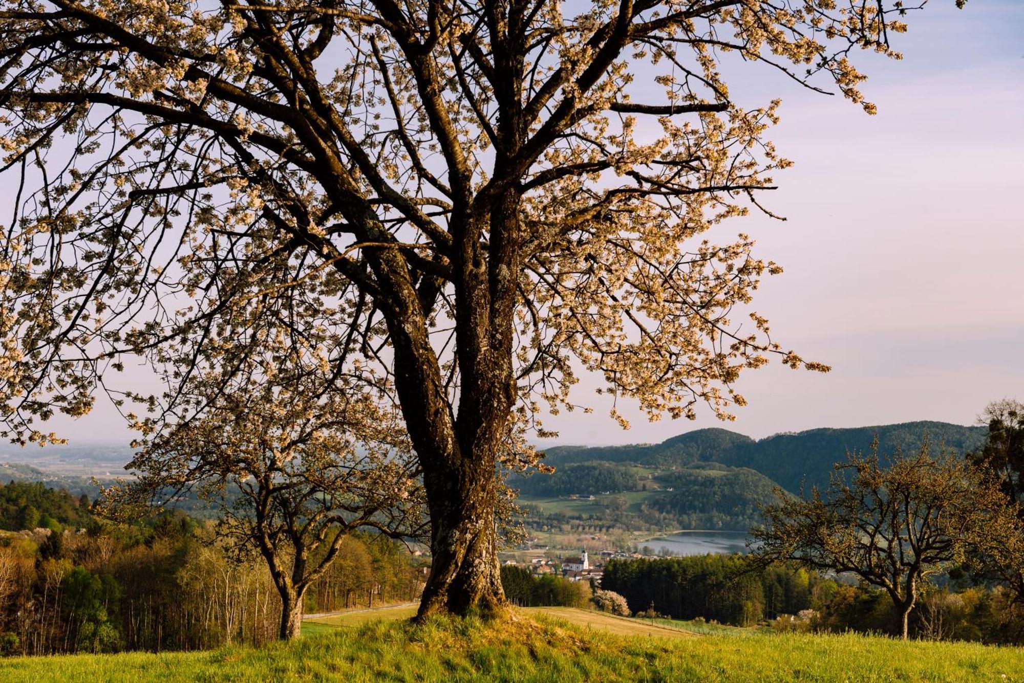 Landhaus Grete Stubenberg Exteriör bild